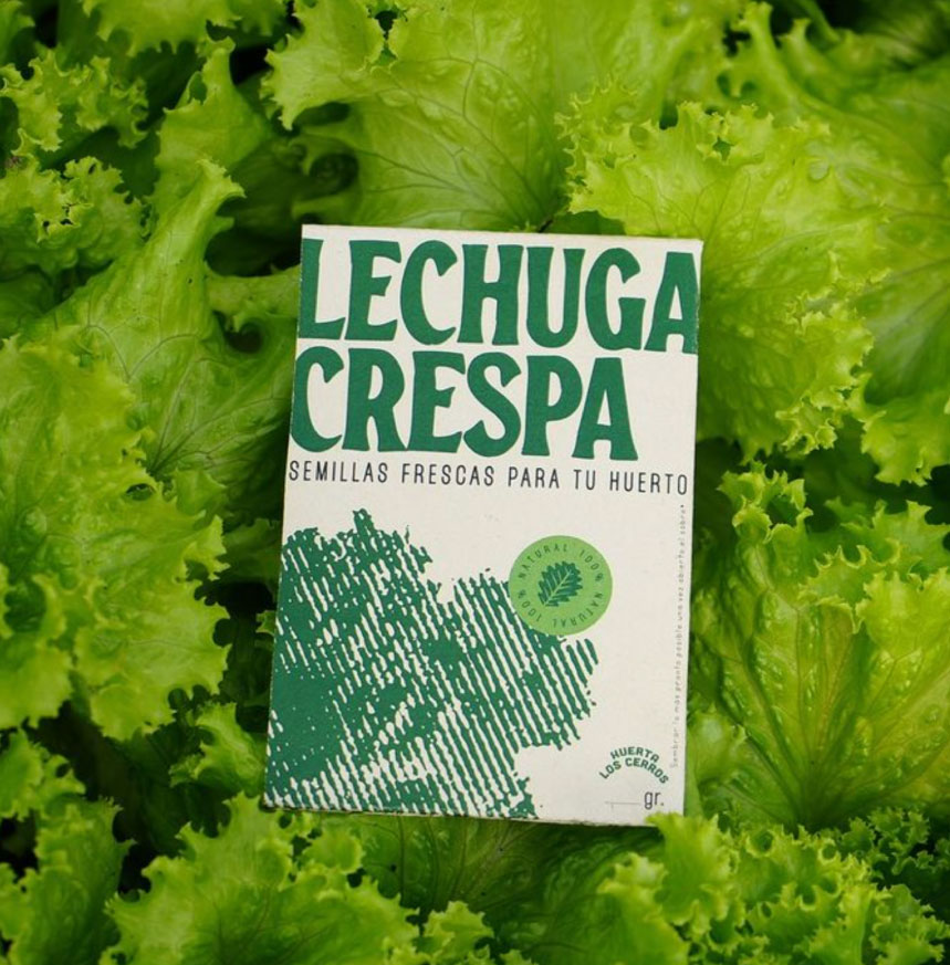 lechuga