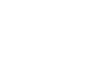 logo-footer-2