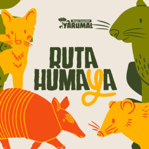 Ruta Humaya