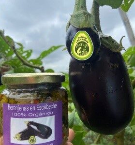 Berenjenas en Escabeche