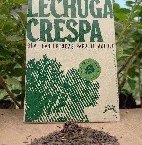 Semillas de Lechuga Crespa