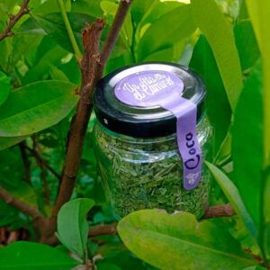 Hojas de Coca Deshidratadas