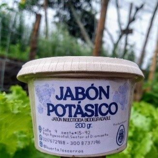JABÓN POTASICO