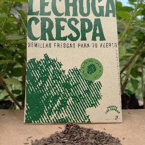LECHUGA