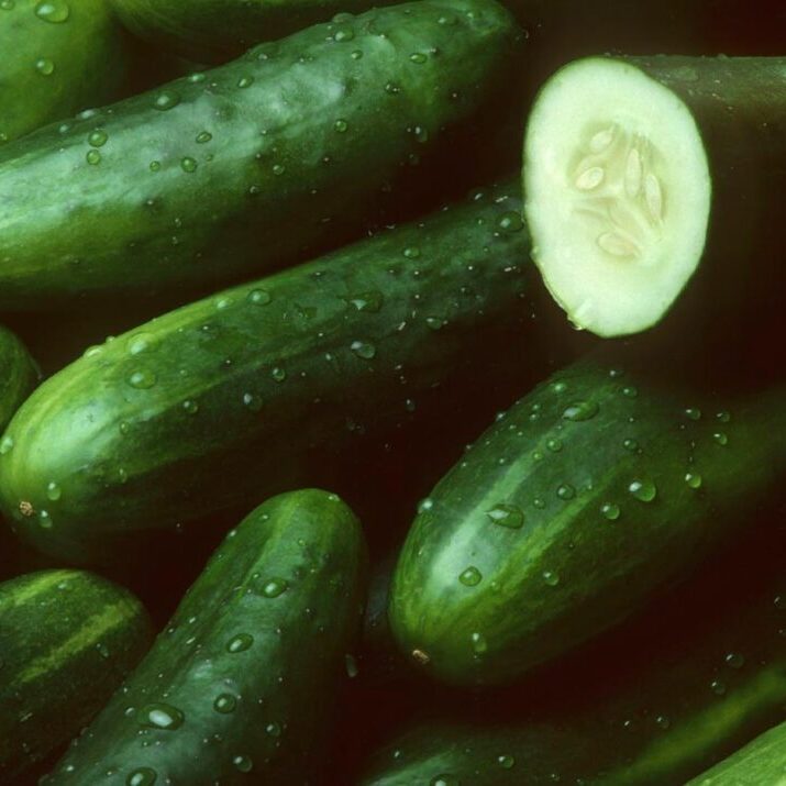 pepino